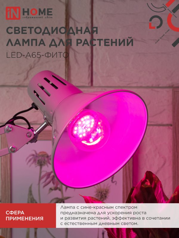 06F6AA2D55847B0B8FF61F2AD80BC7E8