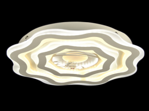 K007289